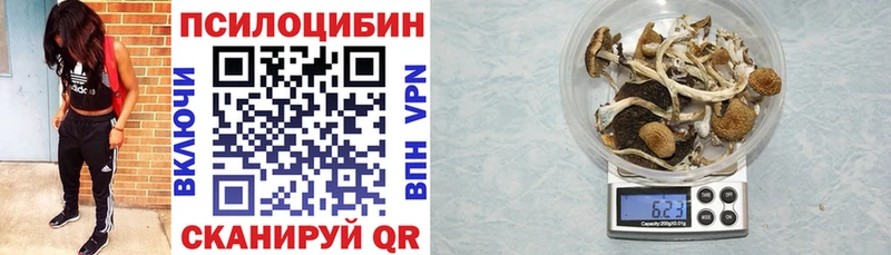 Псилоцибиновые грибы мицелий  Ноябрьск 